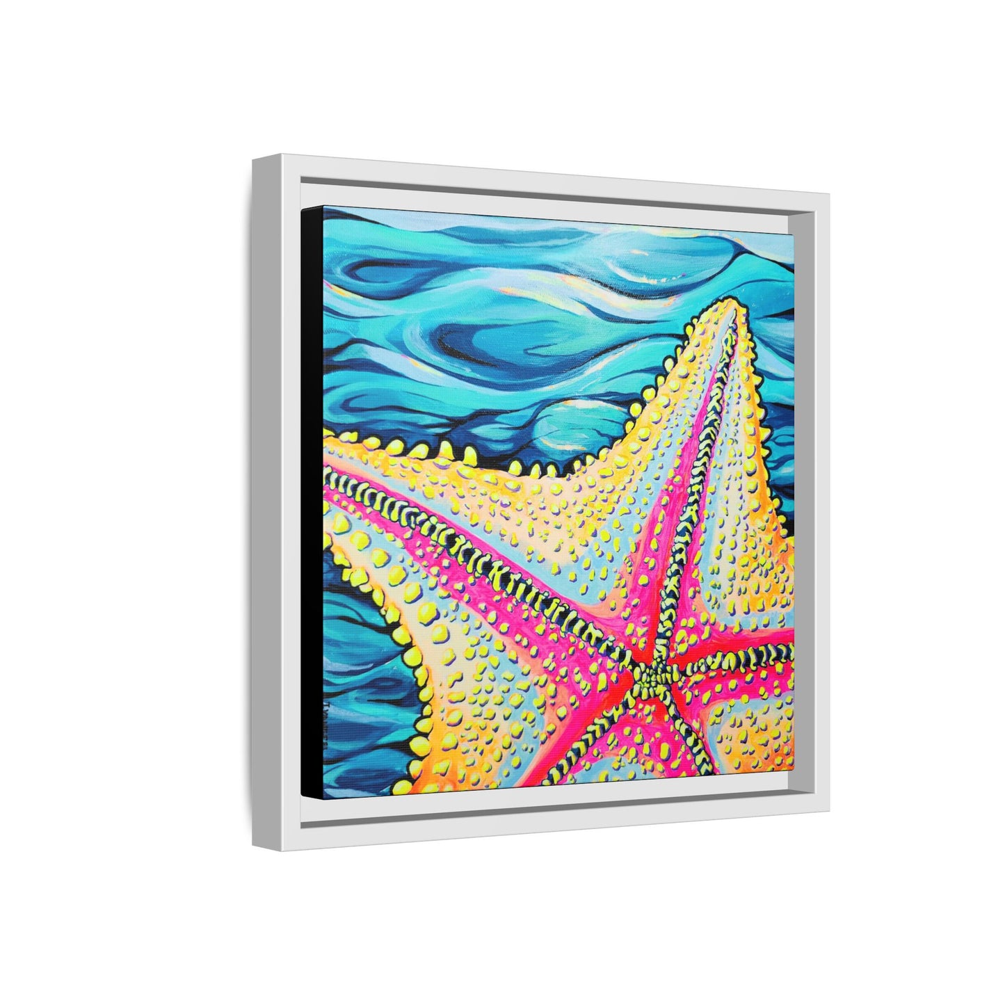 Framed Starfish Beach Bocas Canvas Print