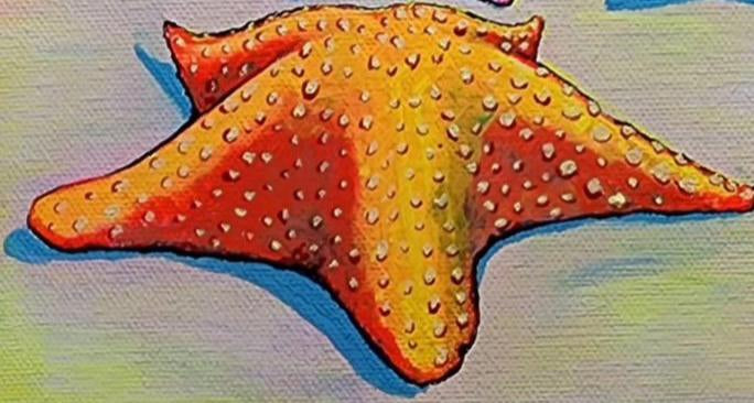 Casa Santosha Gift Card