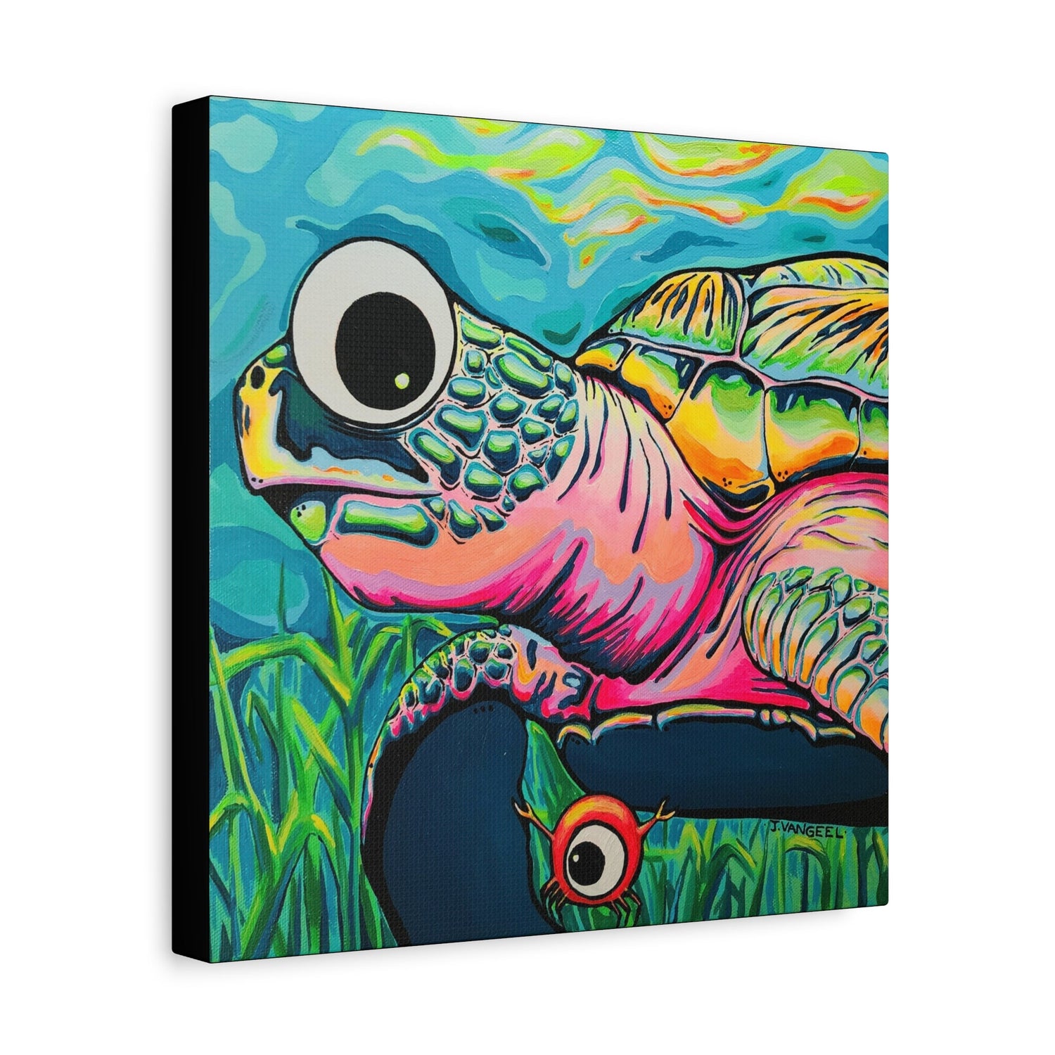 Cyclops Turtle Collection