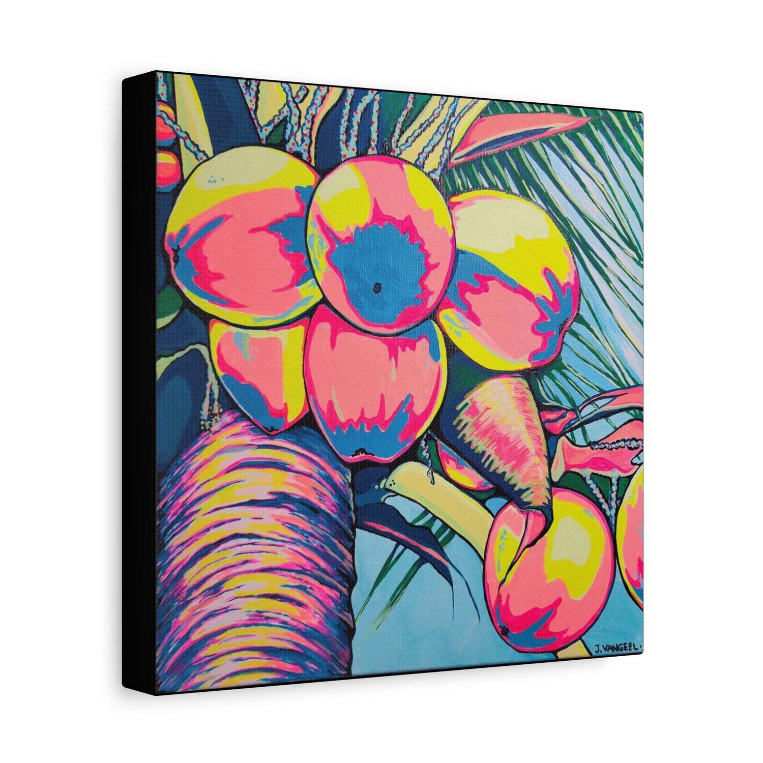 Coconuts Collection