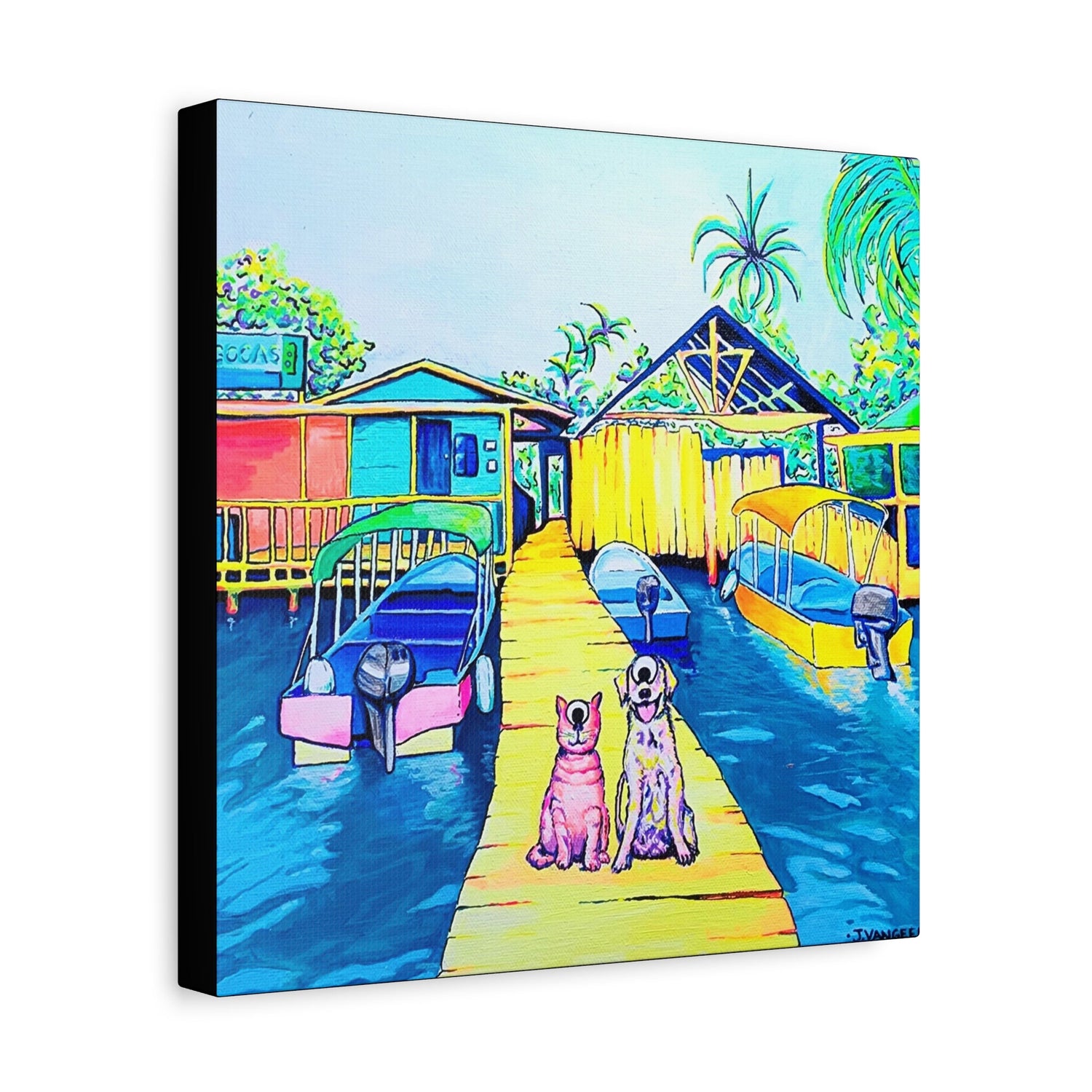 Cyclops Cat and Dog in Bocas Collection