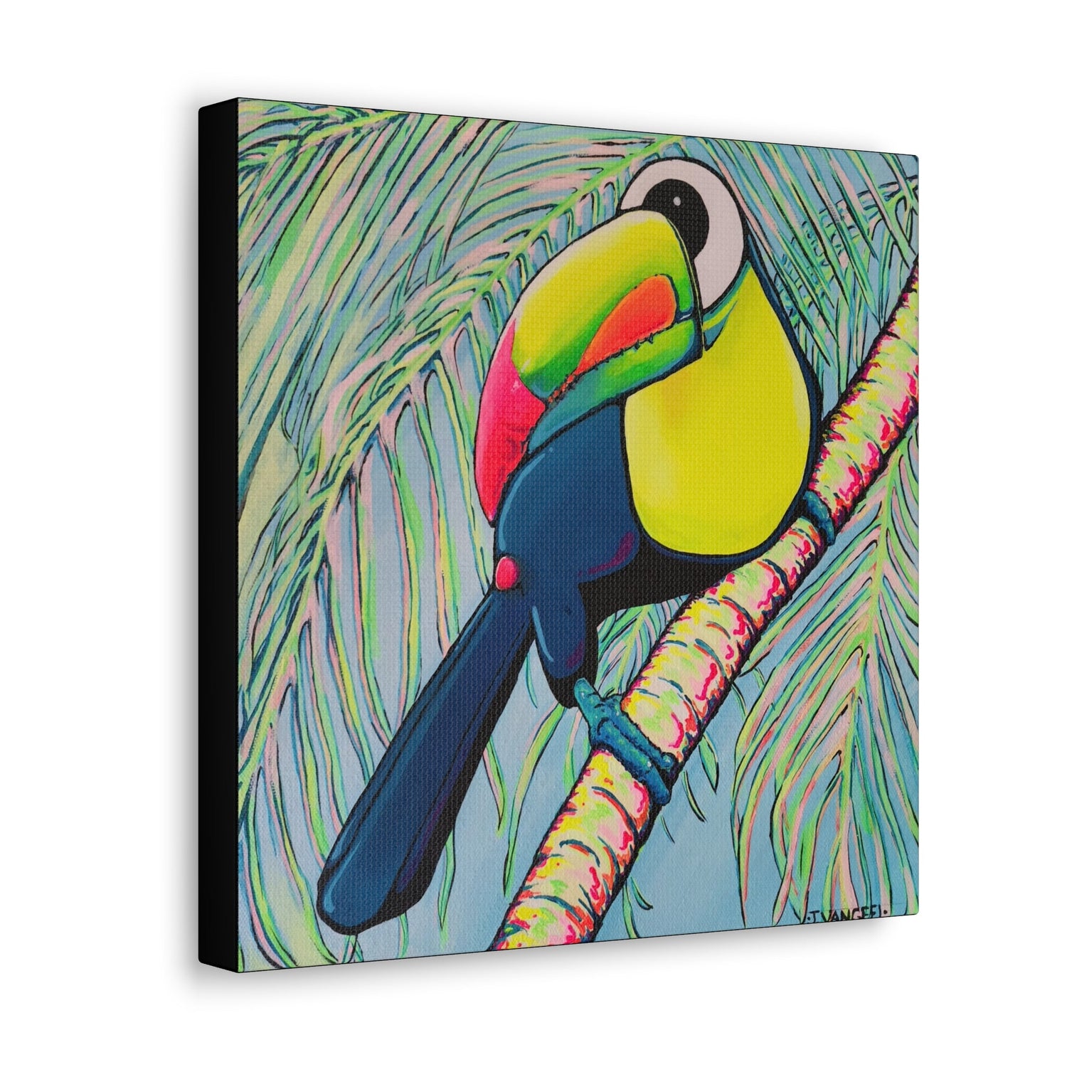 Toucan Collection