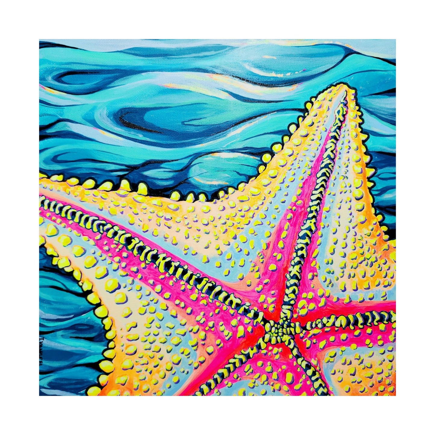 Starfish Beach Bocas Giclée Art Poster