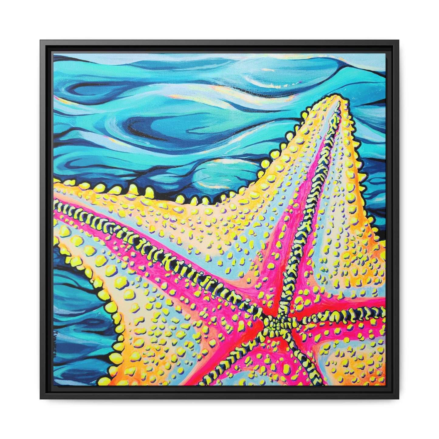 Framed Starfish Beach Bocas Canvas Print