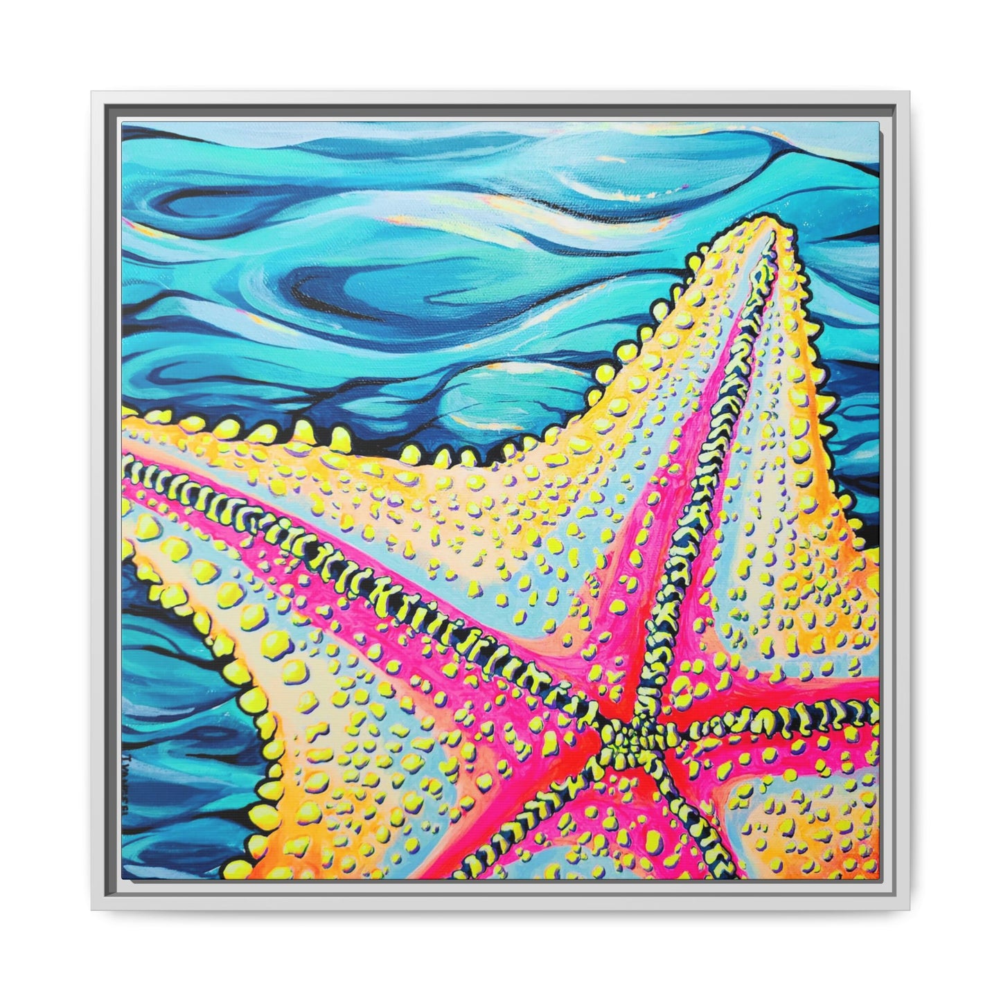 Framed Starfish Beach Bocas Canvas Print