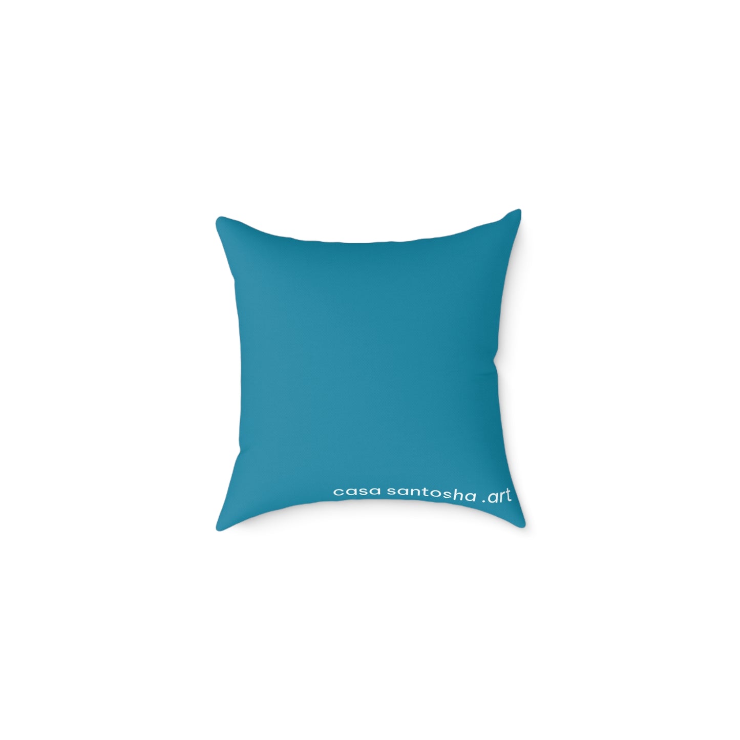 Cyclops Turtle Art Canvas Decorative Pillow