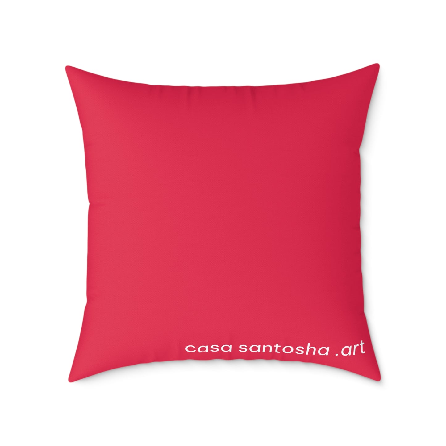 Cyclops Hummingbirds Art Canvas Decorative Pillow