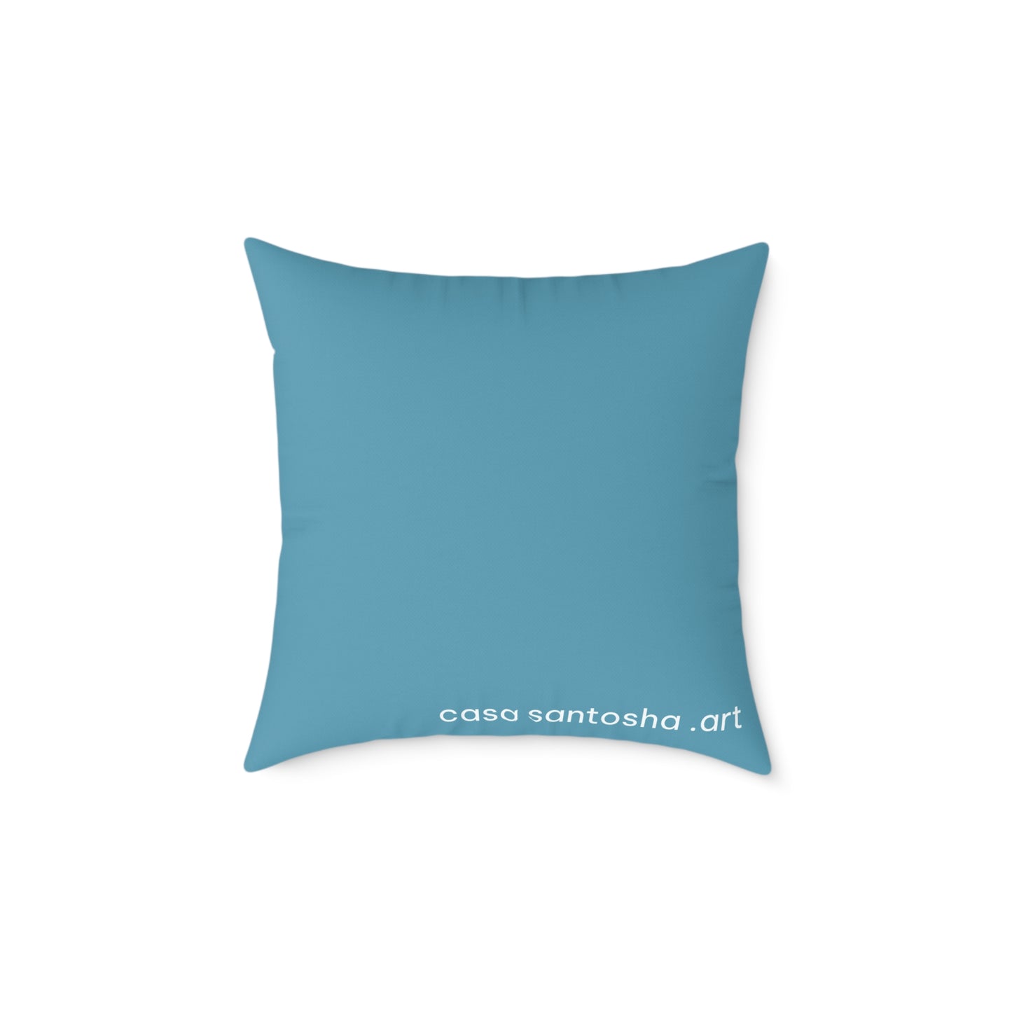 Panga Express Art Canvas Decorative Pillow