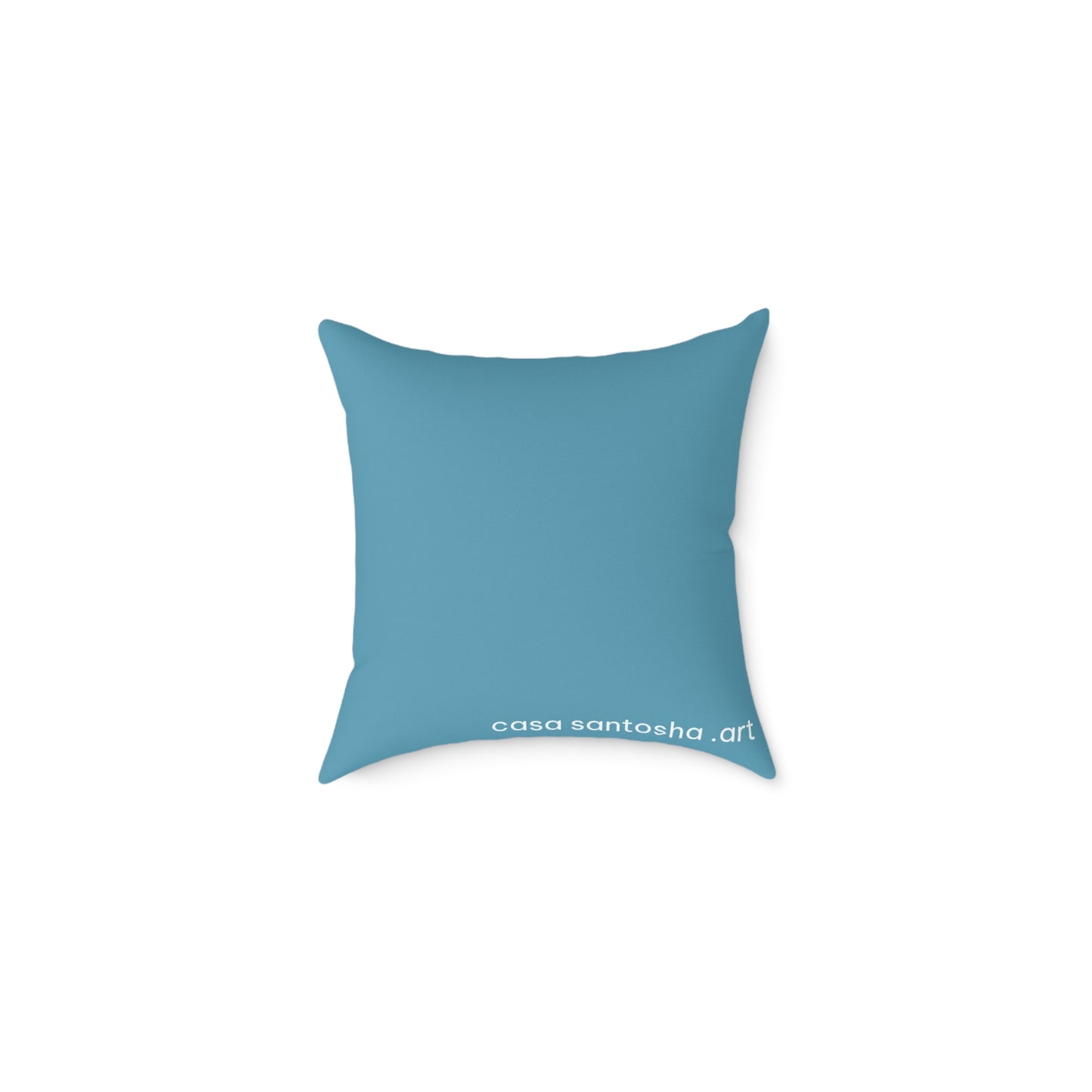 Panga Express Art Canvas Decorative Pillow