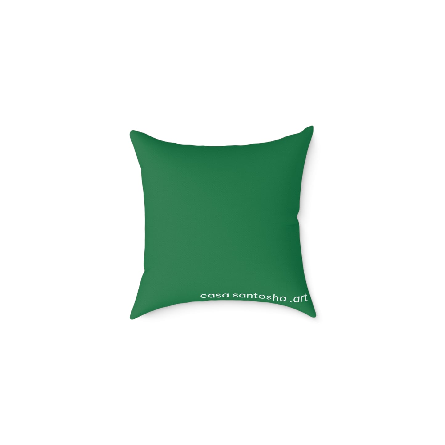 Chatty Cyclops Parrots Art Canvas Decorative Pillow