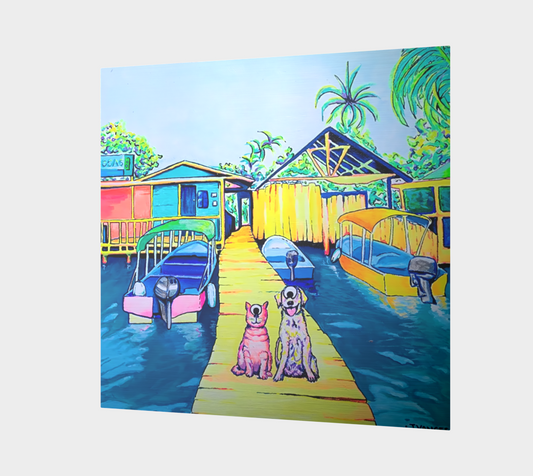 Cyclops Cat and Dog in Bocas Aluminum Wall Art