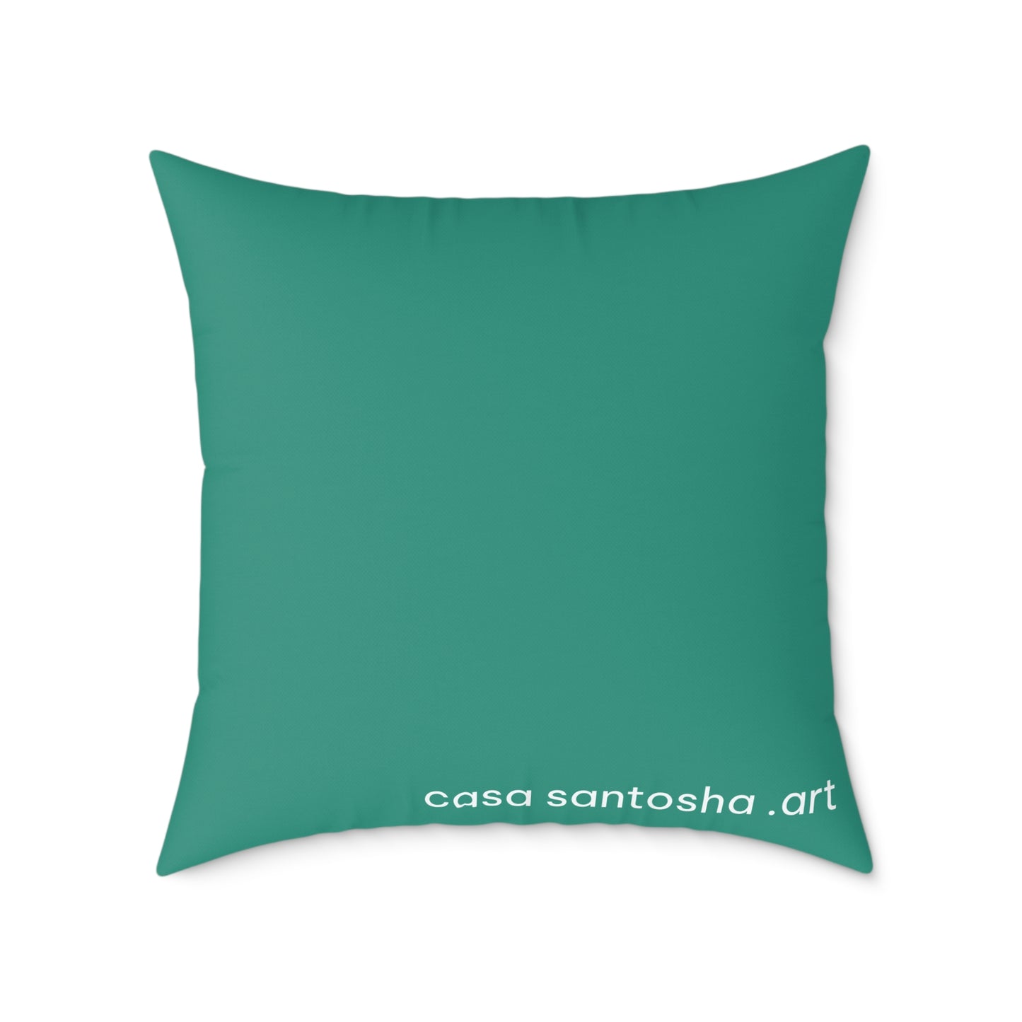Chatty Cyclops Parrots Art Canvas Decorative Pillow