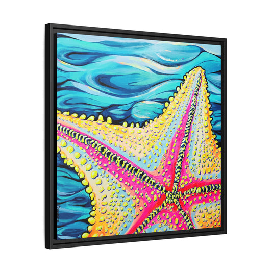 Framed Starfish Beach Bocas Canvas Print