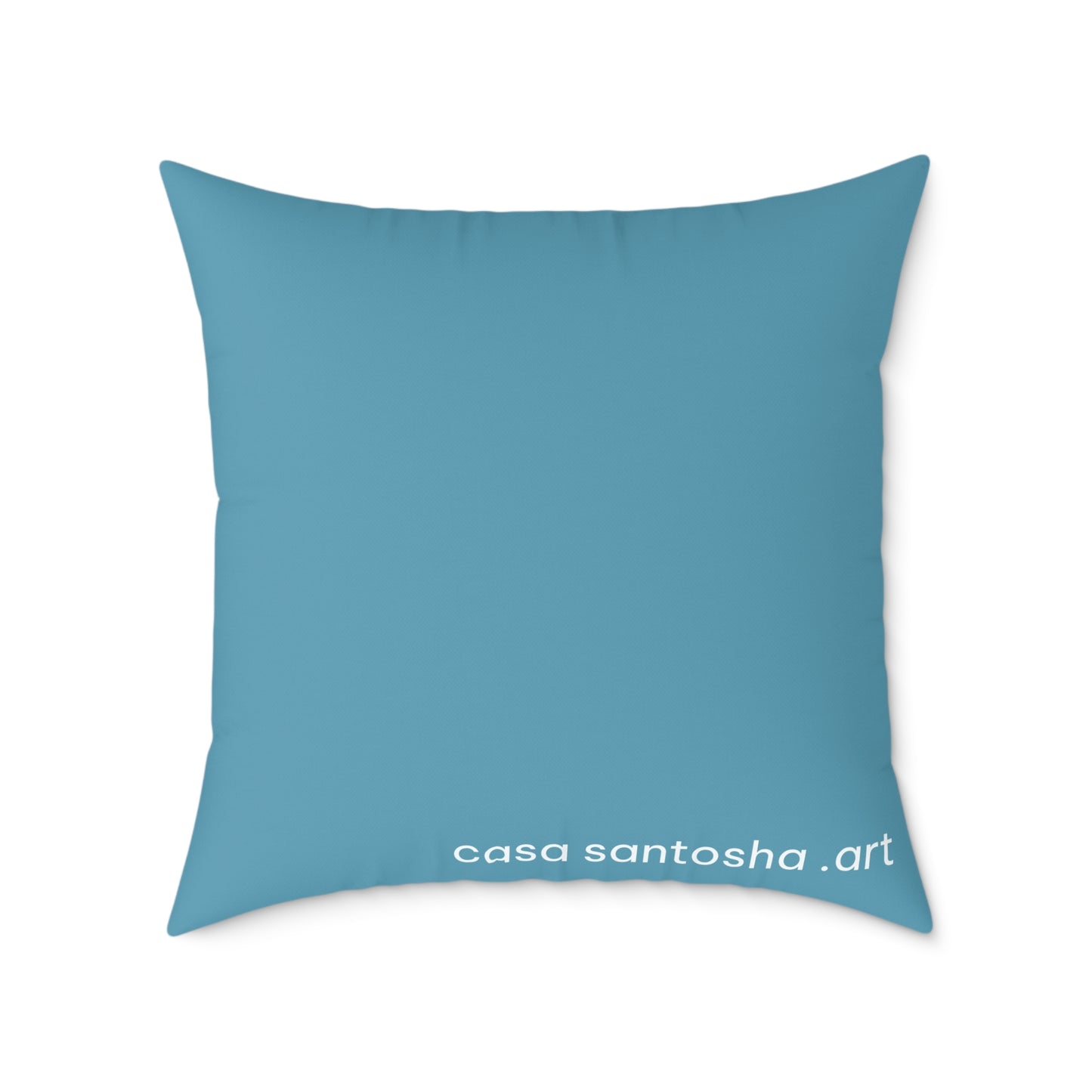 Panga Express Art Canvas Decorative Pillow