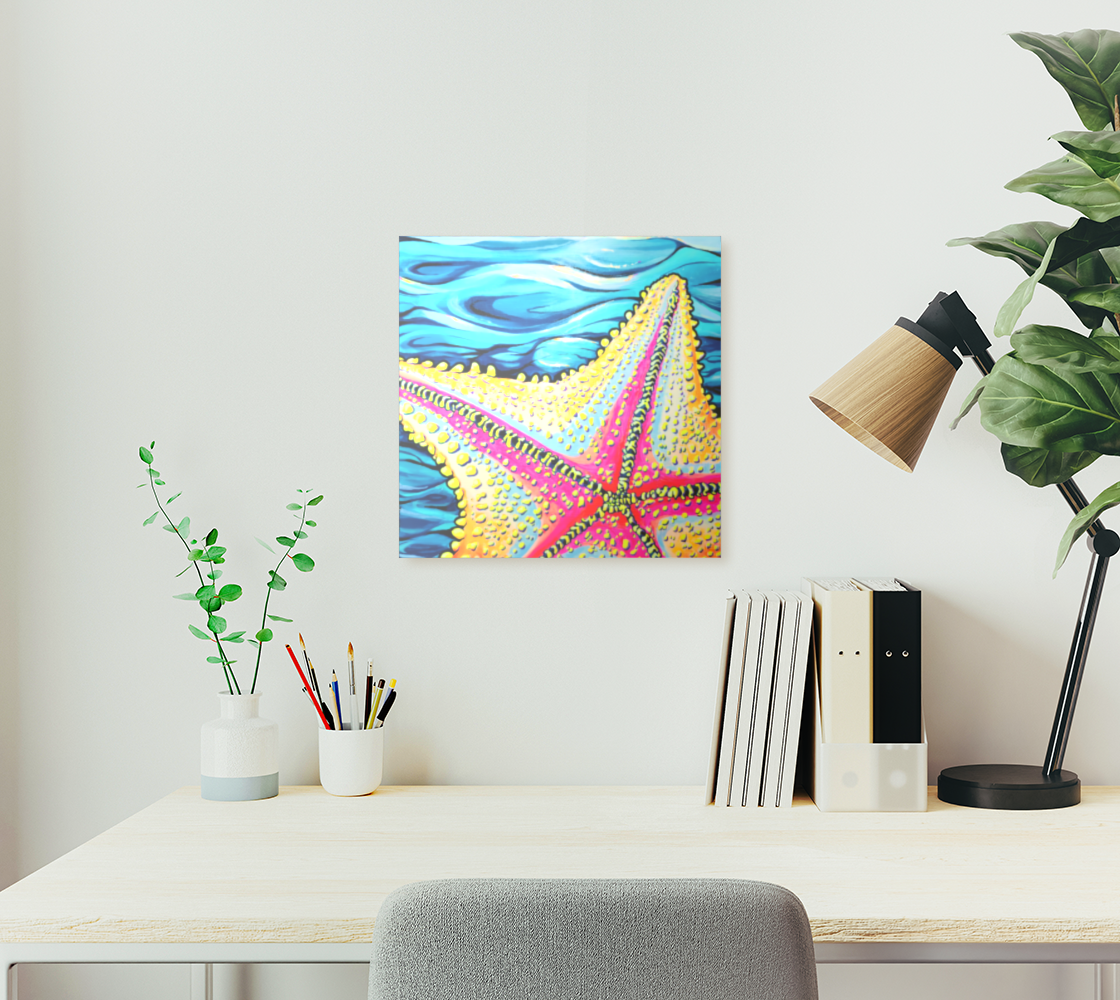 Starfish Beach Bocas Aluminum Wall Art