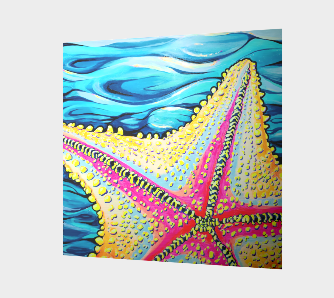 Starfish Beach Bocas Aluminum Wall Art