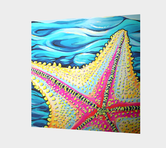 Starfish Beach Bocas Aluminum Wall Art
